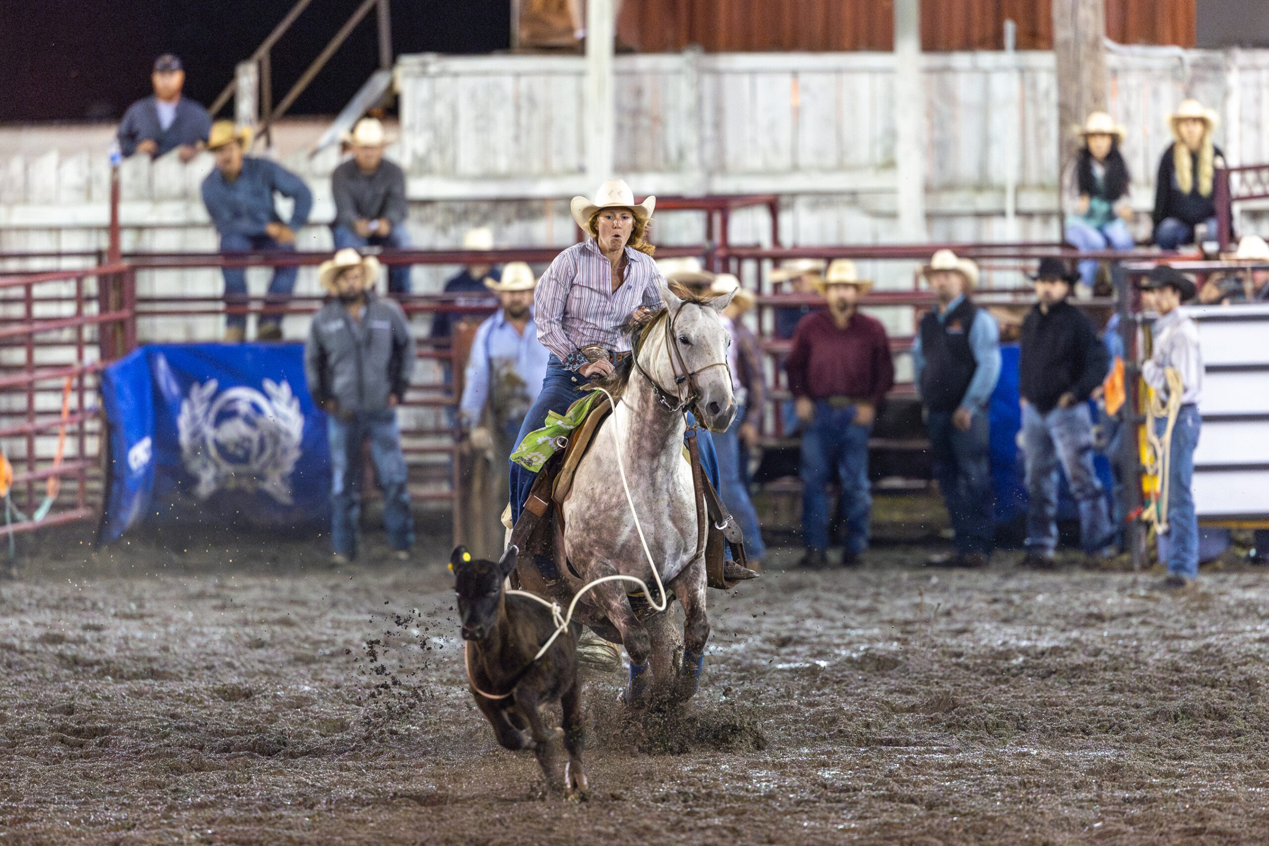 https://ogden_images.s3.amazonaws.com/www.observertoday.com/images/2025/08/01000607/Rodeo-Day-2-calf-roping-scaled.jpg